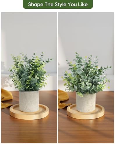 Potted Faux Eucalyptus, 2-Pack, photo 4