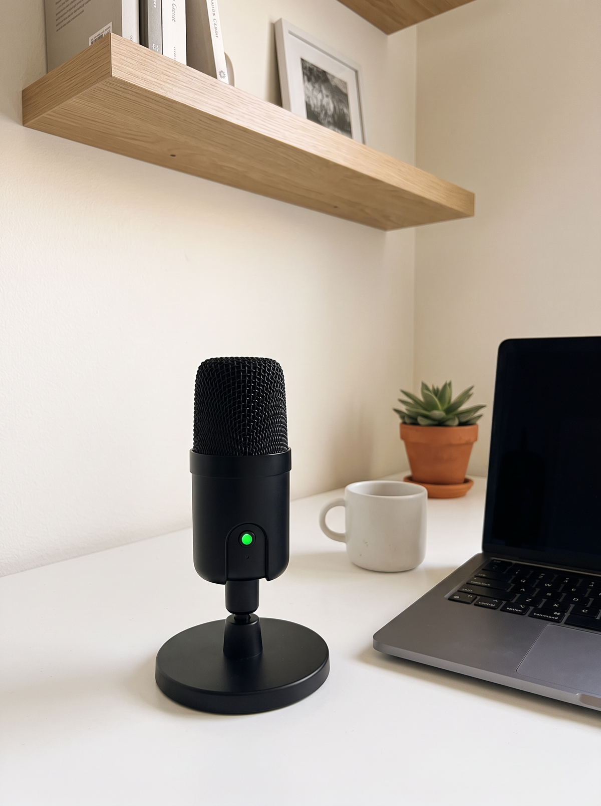 Amazon Basics USB Condenser Mic