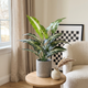Tropical Faux Potted Plant, 16 in